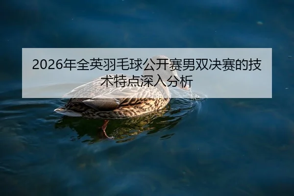 nian-quan-ying-yu-mao-qiu-gong-kai-sai-nan-shuang-jue-sai-de-ji-shu-te-dian-shen-ru-fen-xi-2-449.jpg