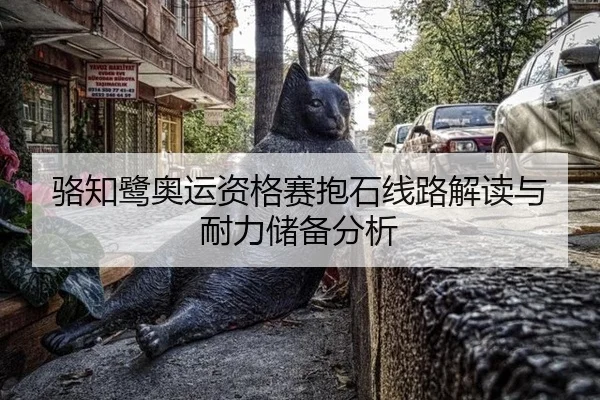 骆知鹭奥运资格赛抱石线路解读与耐力储备分析
