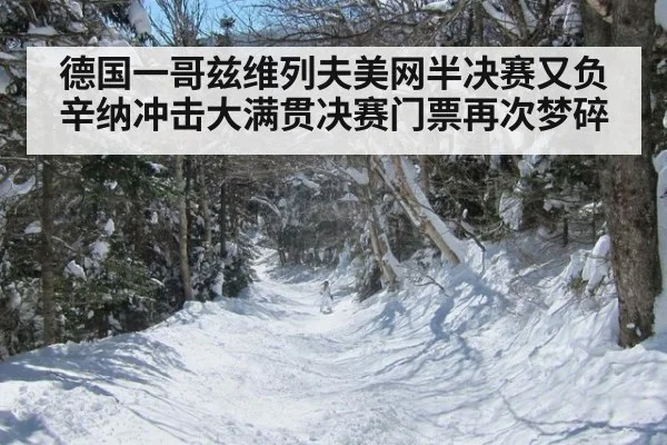 德国一哥兹维列夫美网半决赛又负辛纳冲击大满贯决赛门票再次梦碎