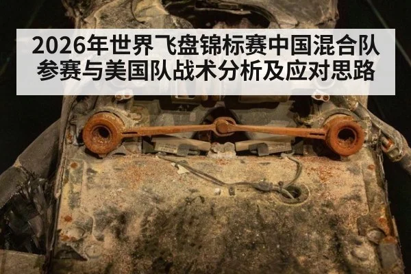 2026年世界飞盘锦标赛中国混合队参赛与美国队战术分析及应对思路